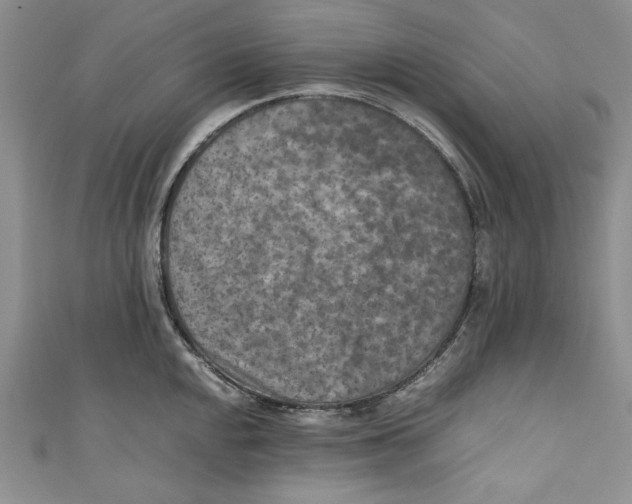 X0000110891048200907091350