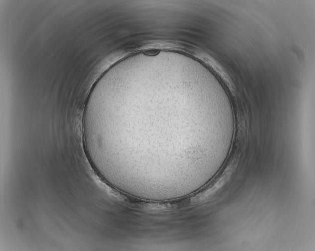 X0000110891049200907091350