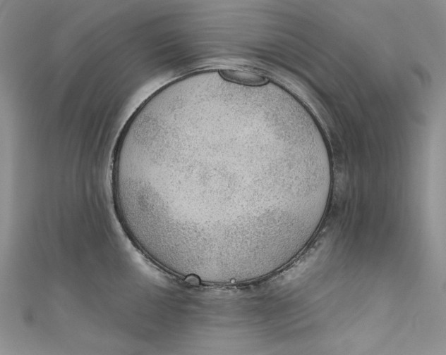 X0000110891050200907091350