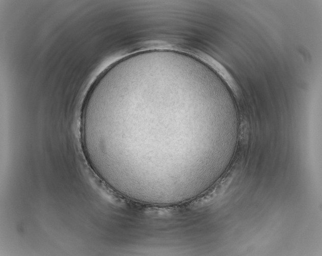 X0000110891051200907091350