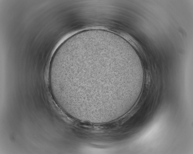 X0000110891052200907091350