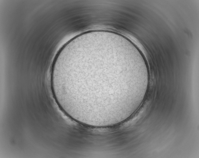 X0000110891053200907091350