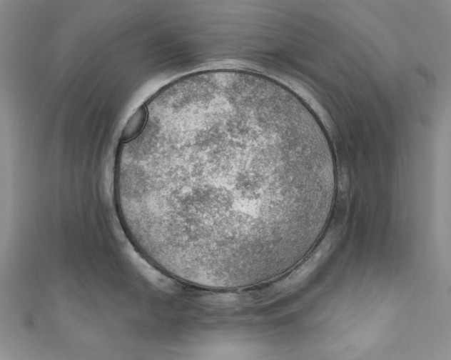 X0000110891054200907091350