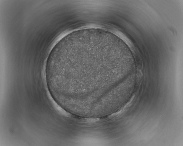 X0000110891055200907091350