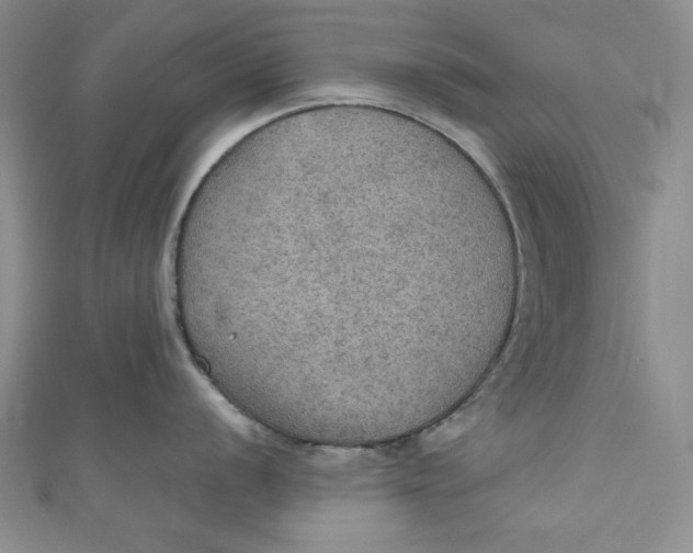 X0000110891056200907091350