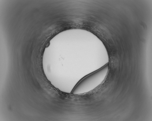 X0000110891057200907091349