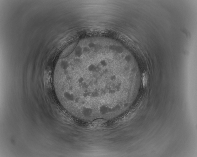 X0000110891059200907091349