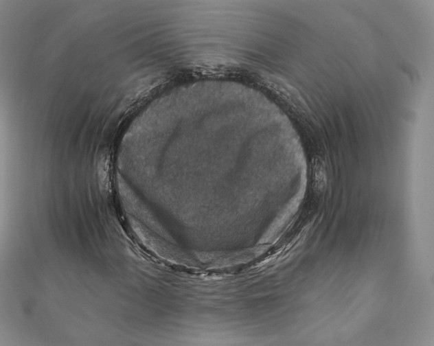 X0000110891060200907091349