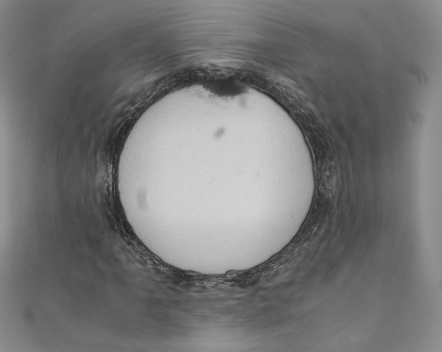 X0000110891061200907091349