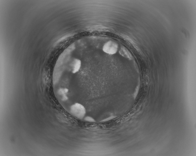 X0000110891063200907091349