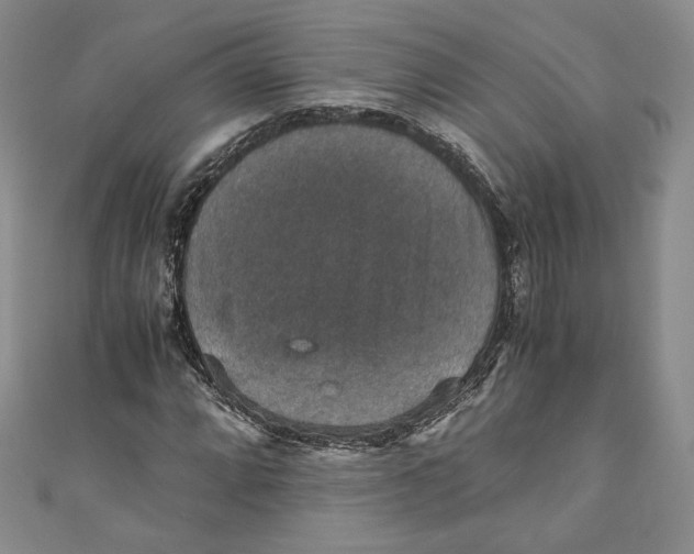 X0000110891064200907091349