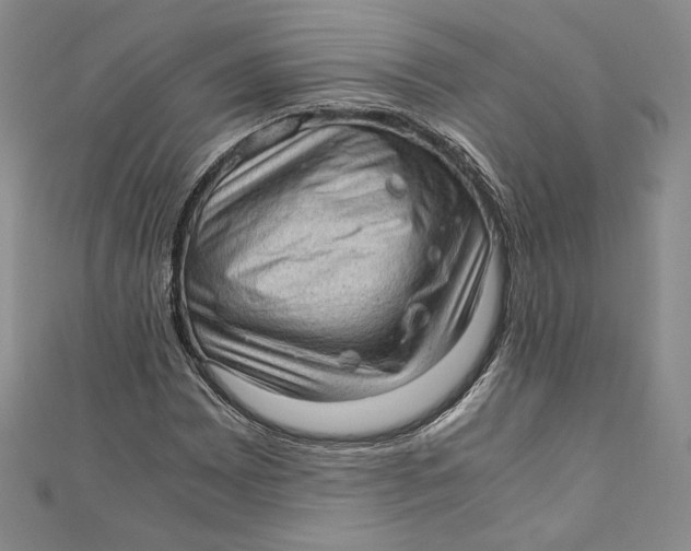 X0000110891065200907091349