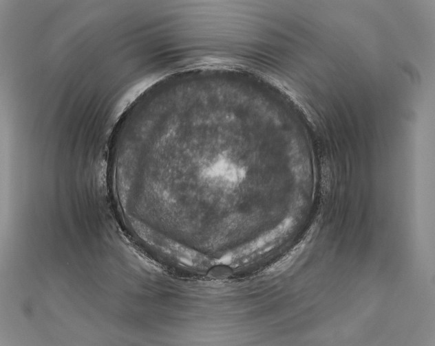 X0000110891066200907091349