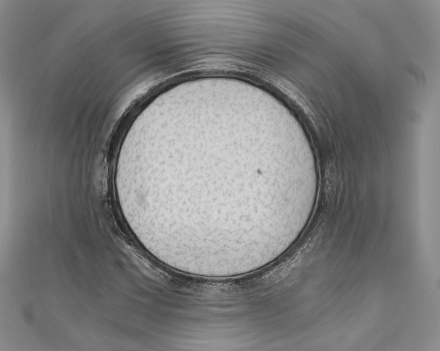 X0000110891067200907091349