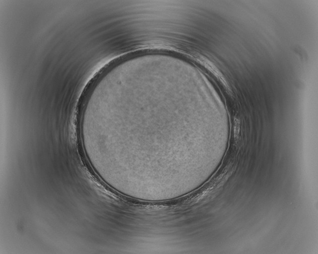 X0000110891068200907091349