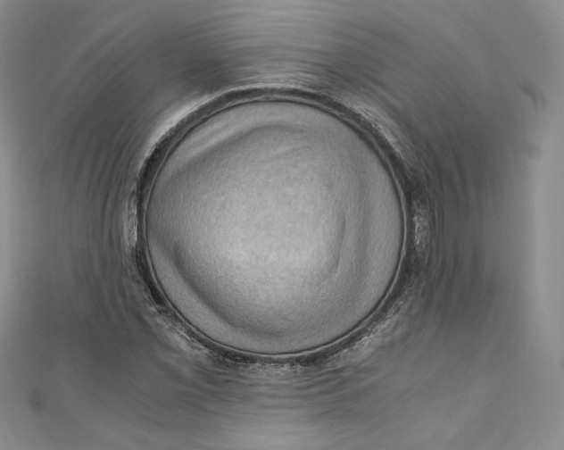 X0000110891069200907091349