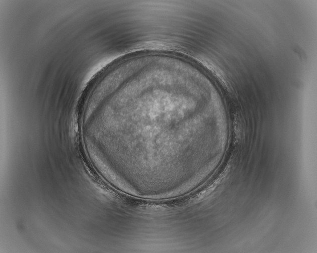 X0000110891070200907091349