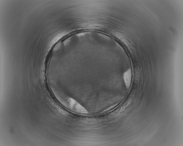 X0000110891071200907091349