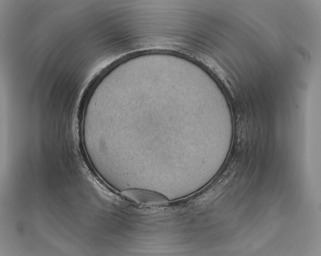 X0000110891072200907091349