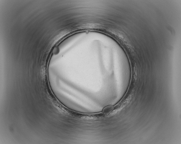 X0000110891073200907091349