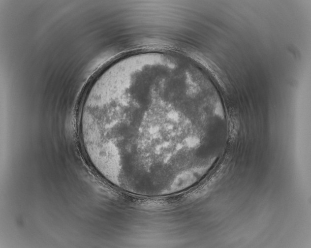 X0000110891074200907091349