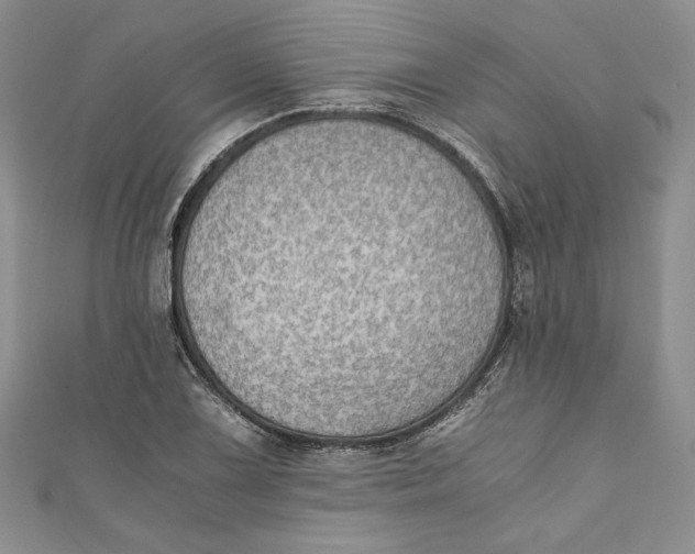 X0000110891075200907091349