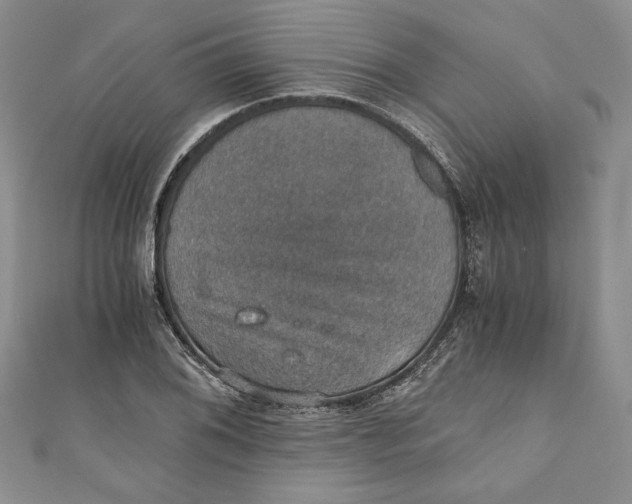 X0000110891076200907091349