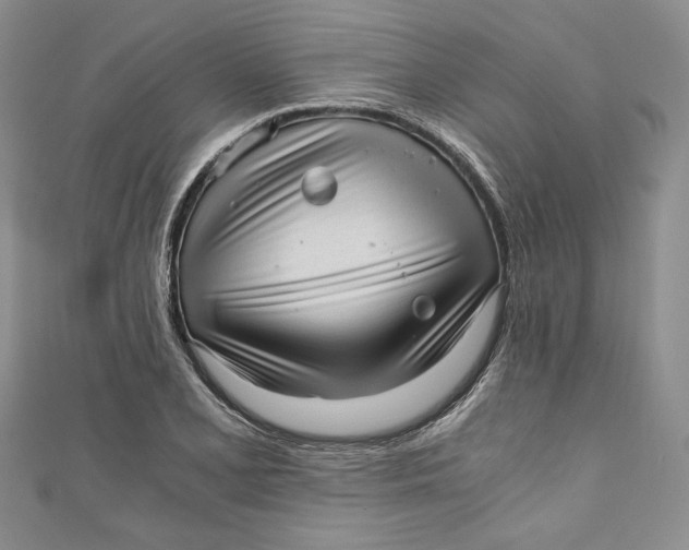 X0000110891077200907091349