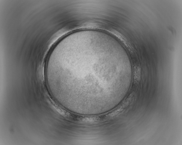 X0000110891078200907091349