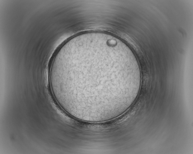 X0000110891079200907091349