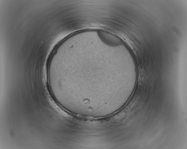 X0000110891080200907091349