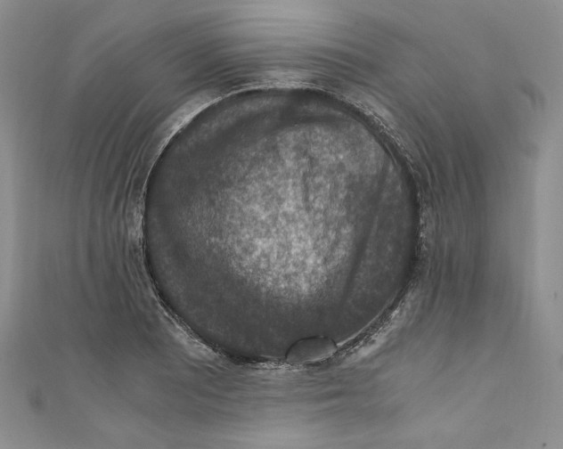 X0000110891081200907091349