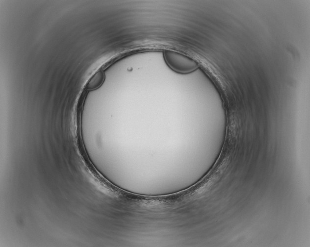 X0000110891082200907091349