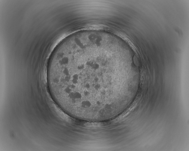 X0000110891083200907091349