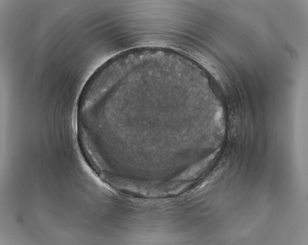 X0000110891084200907091349