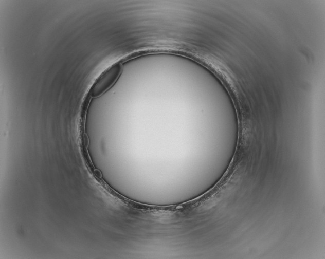 X0000110891085200907091349