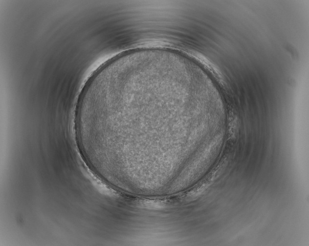 X0000110891086200907091349