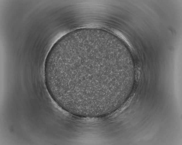 X0000110891087200907091349