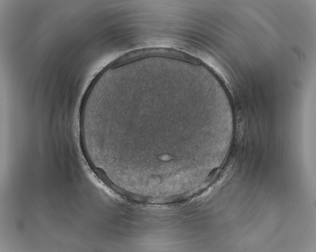 X0000110891088200907091349