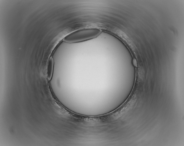 X0000110891089200907091349