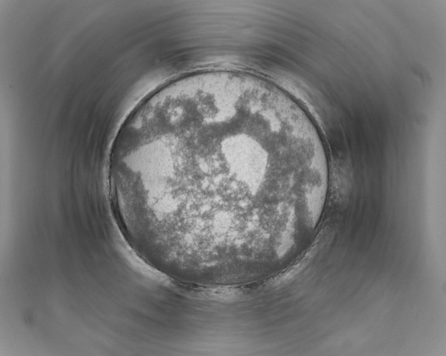 X0000110891090200907091349