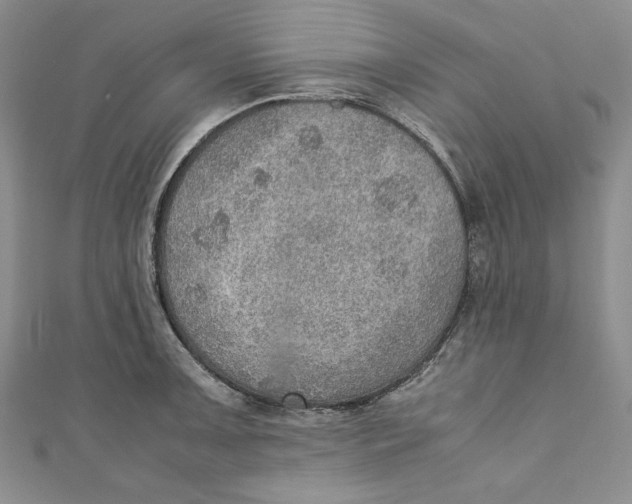 X0000110891091200907091349