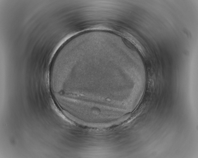 X0000110891092200907091349