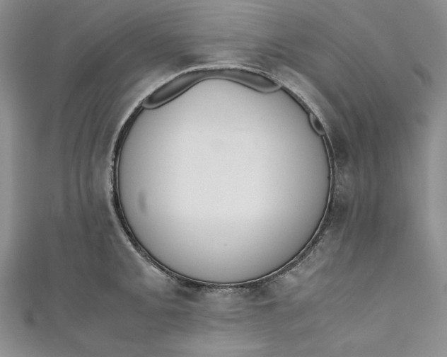 X0000110891093200907091349