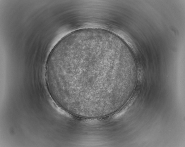 X0000110891094200907091349