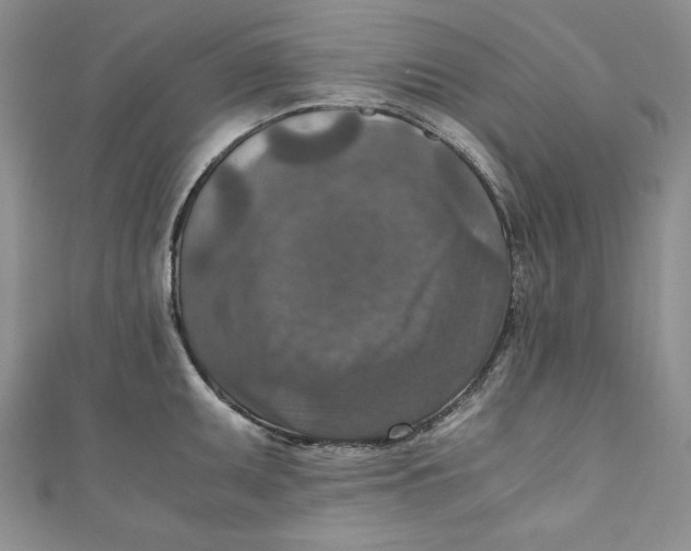 X0000110891095200907091349