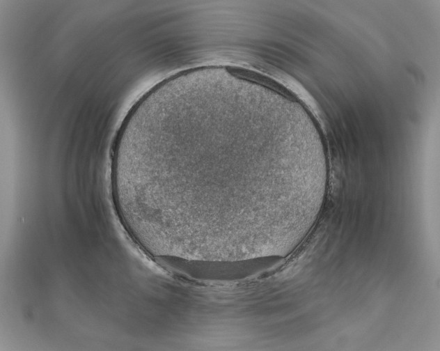 X0000110891096200907091349