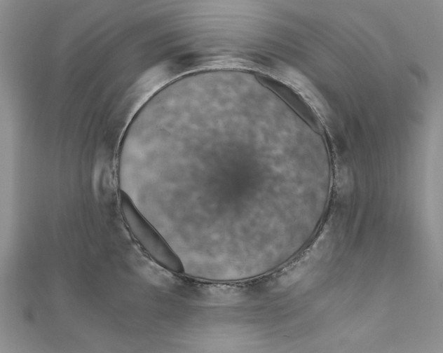 X0000110891097200907091349