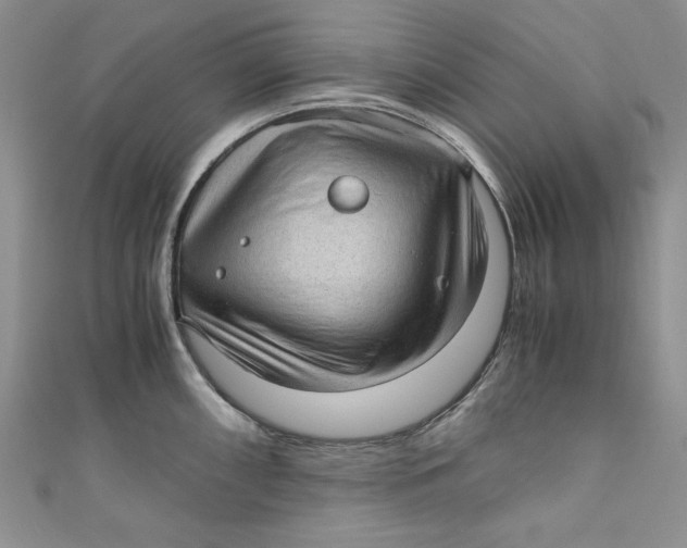 X0000110891098200907091349