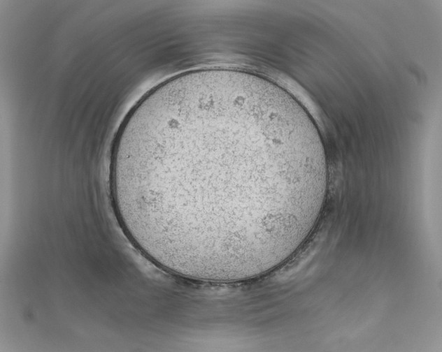 X0000110891099200907091349